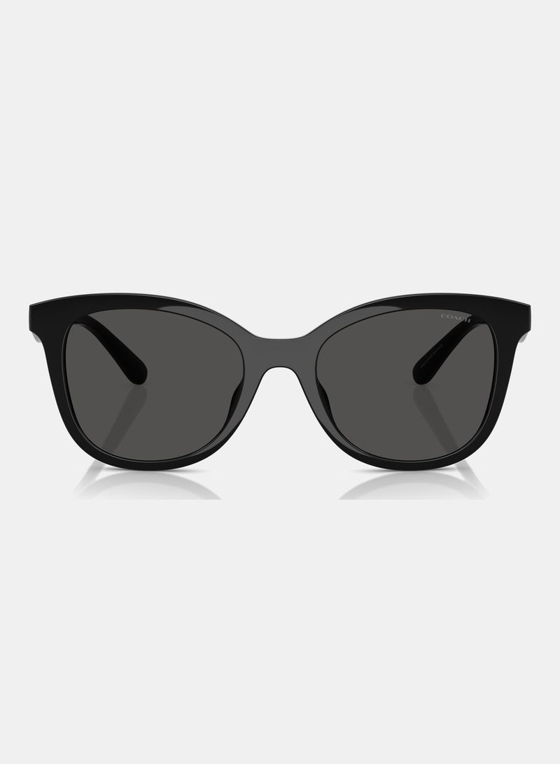 كوتش نظارة شمسية بإطار كامل شكل عيون القطة 8419U, 55, 5002, 87 - Image 5